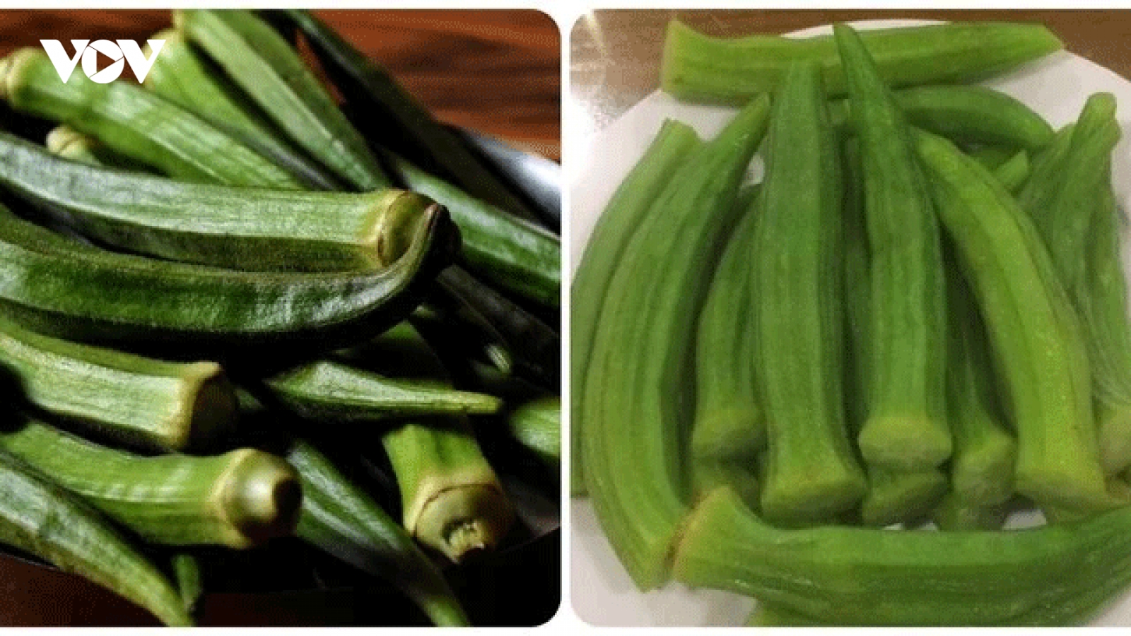 Những tác dụng không ngờ của đậu bắp