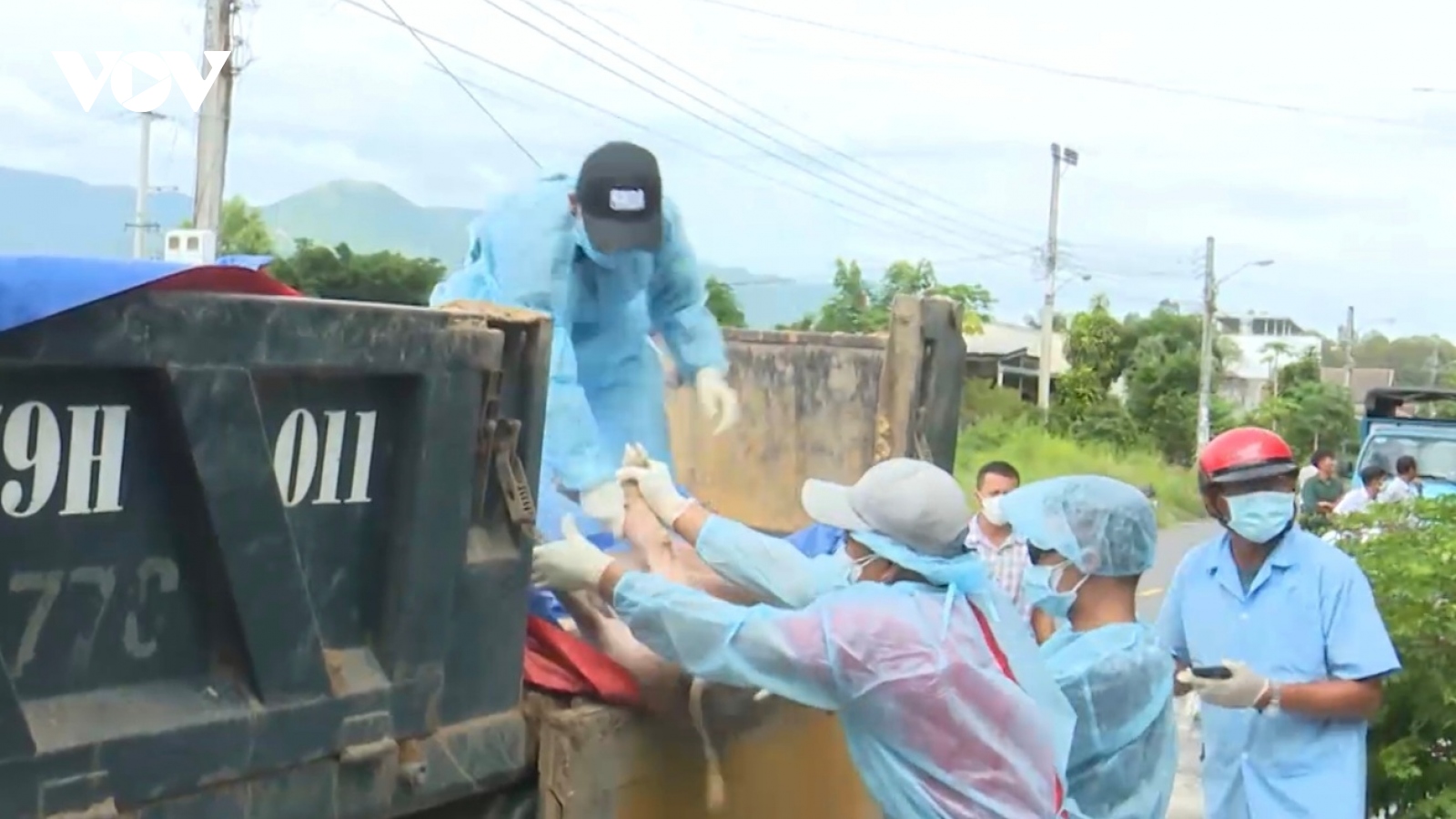 Dịch tả heo Châu Phi bùng phát trở lại ở Khánh Hòa