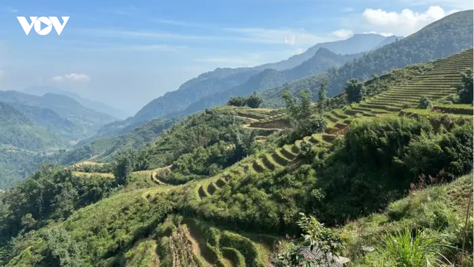 Khách nước ngoài kể chuyện yêu, ghét Sa Pa