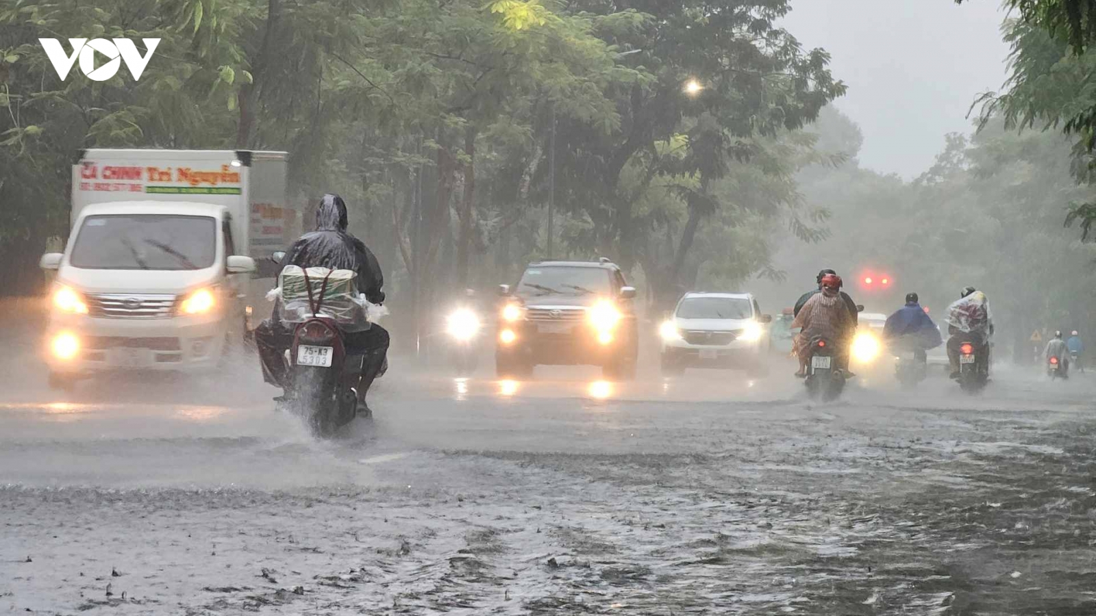 Thời tiết hôm nay 26/11: Từ Quảng Trị đến Khánh Hòa có mưa vừa, mưa to