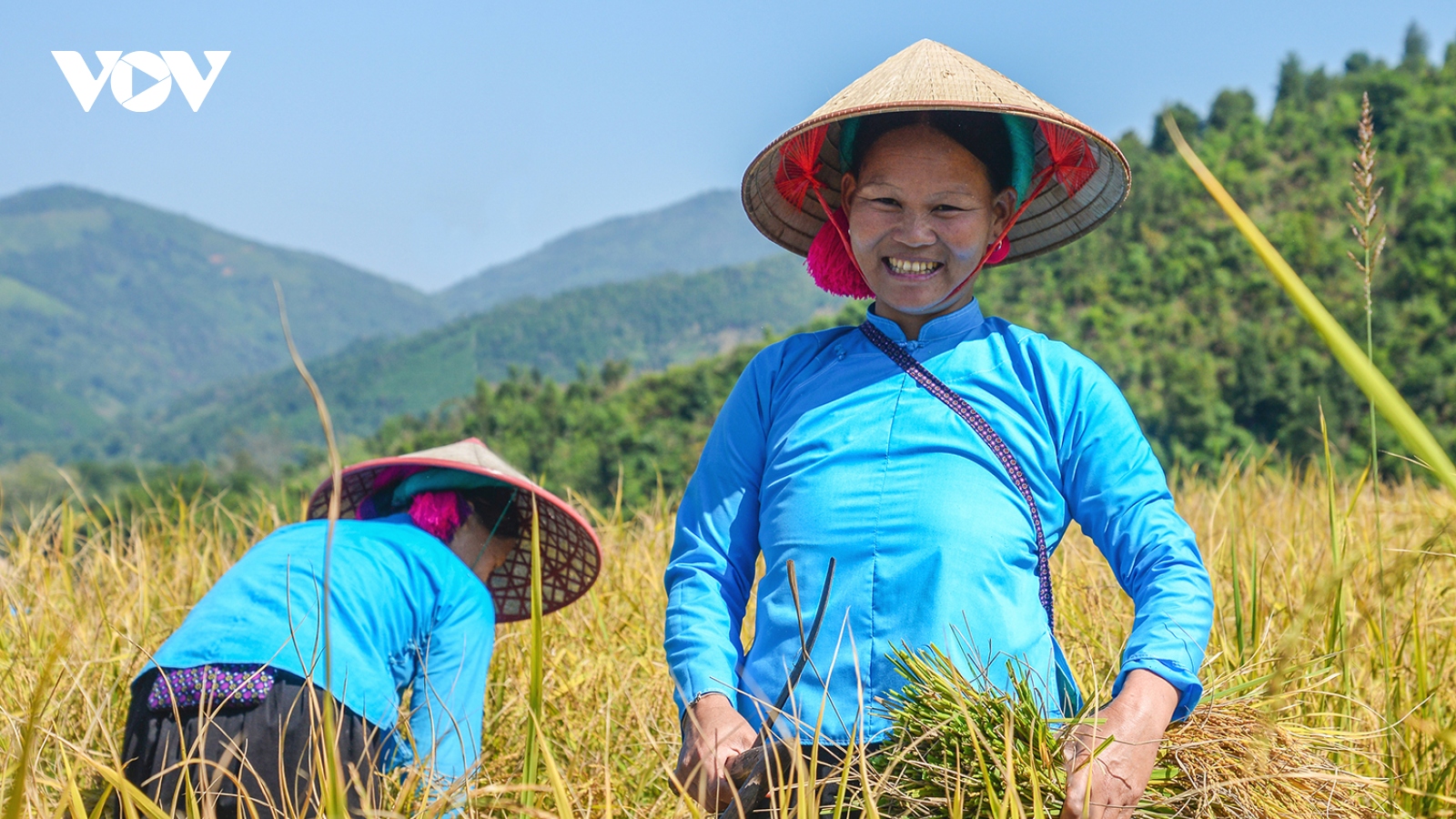 Hàng trăm tỷ đồng hỗ trợ người dân đóng BHXH tự nguyện ở Quảng Ninh