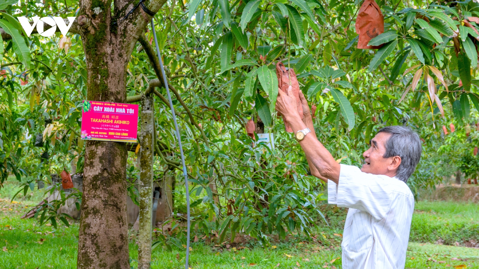 Hội quán nông dân Đồng Tháp chuyển tư duy từ sản xuất sang kinh tế nông nghiệp