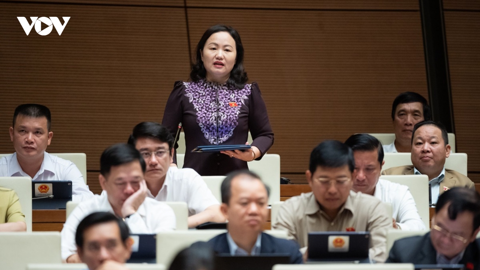 ĐBQH: "Đừng biến dự án đầu tư PPP thành đầu tư công hay đầu tư tư nhân"