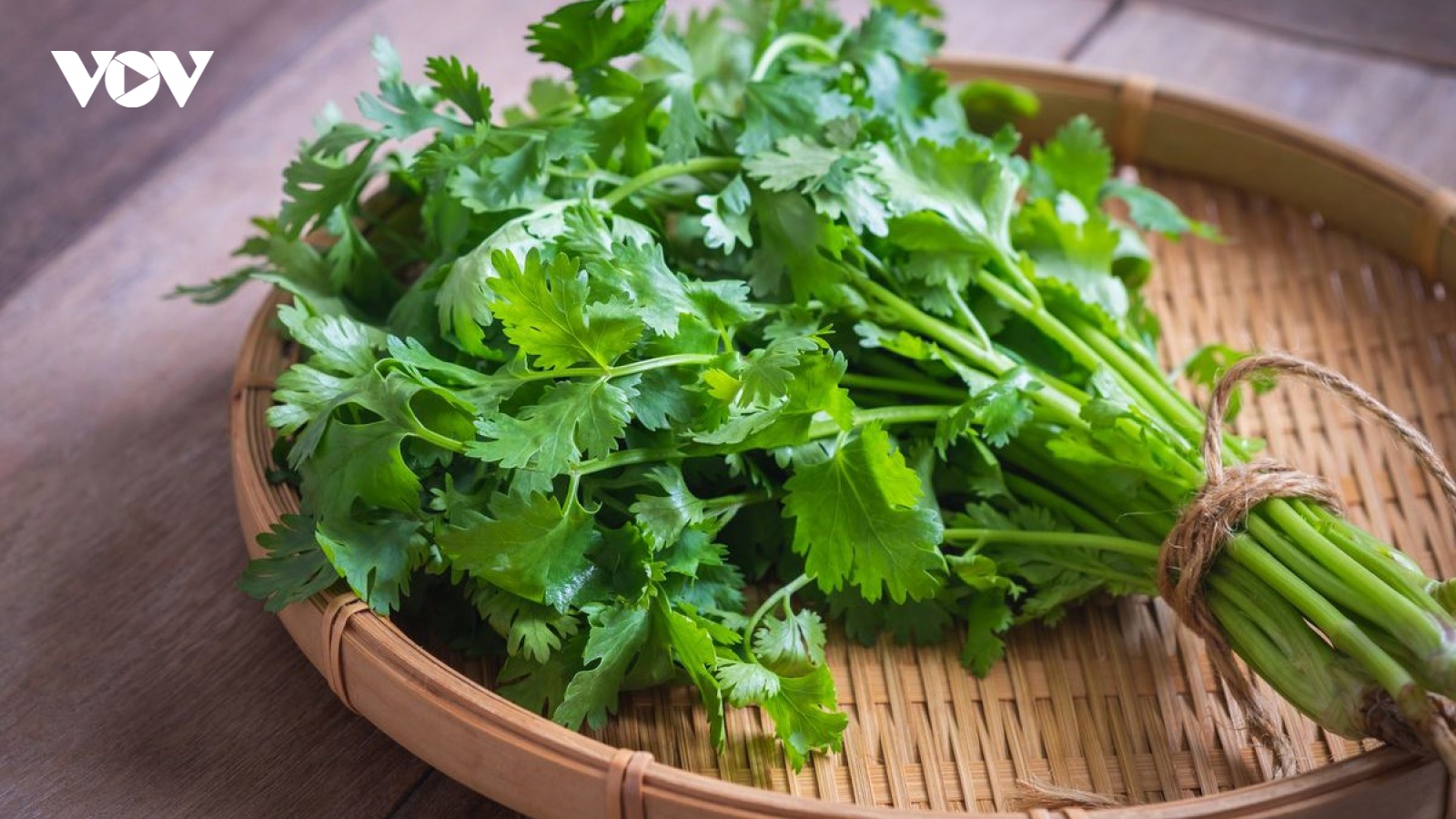 Rau mùi có thể chữa bệnh gì?