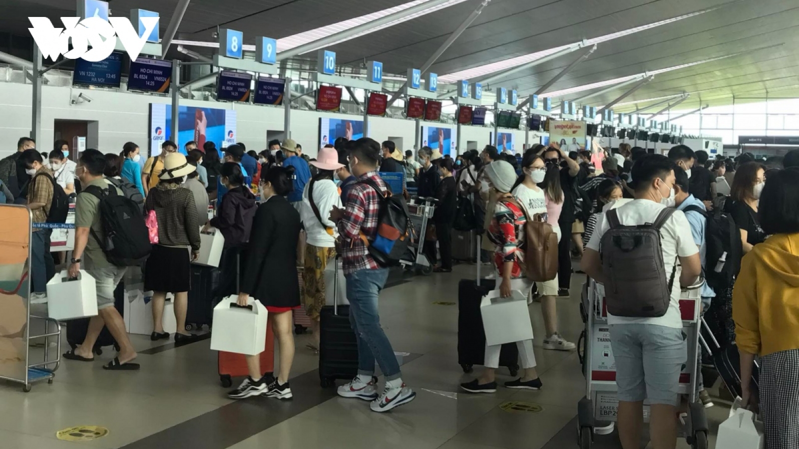 Chưa đến Tết, giá vé máy bay “nhấp nhổm” tăng cao