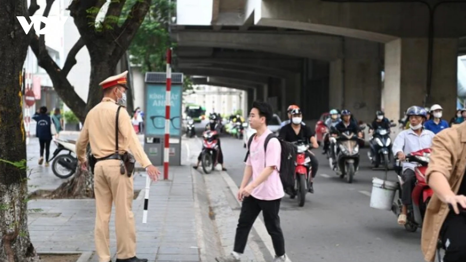 Người đi bộ vi phạm luật giao thông sẽ bị phạt tù trong trường hợp nào?