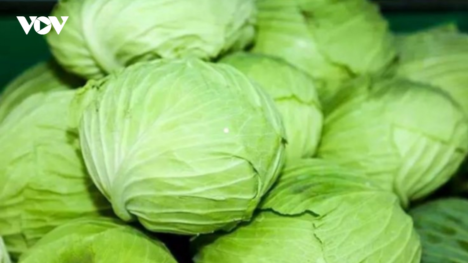 Loại rau là "vua rau'', axit folic gấp 38 lần táo, ngừa thiếu máu, ăn vào cực bổ
