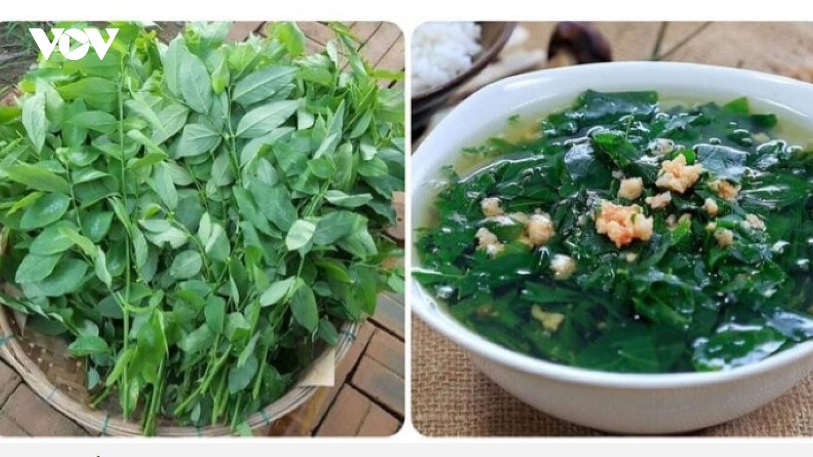 Rau ngót cực bổ dưỡng nhưng ''đại kỵ'' với những người này