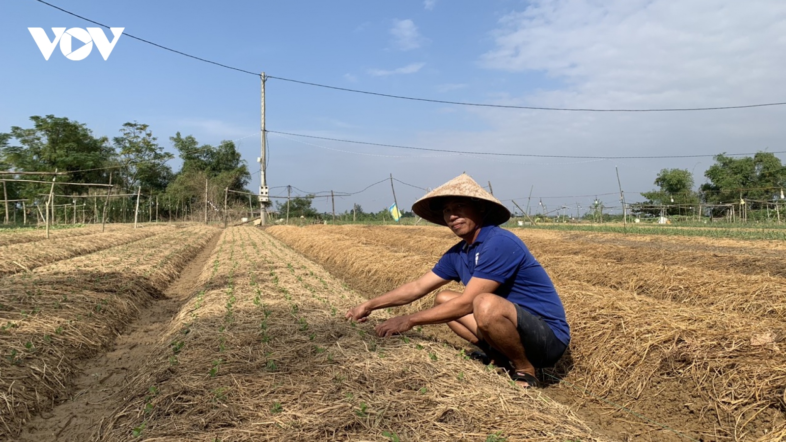 Các làng hoa ở Thừa Thiên Huế gượng dậy sau mưa lũ