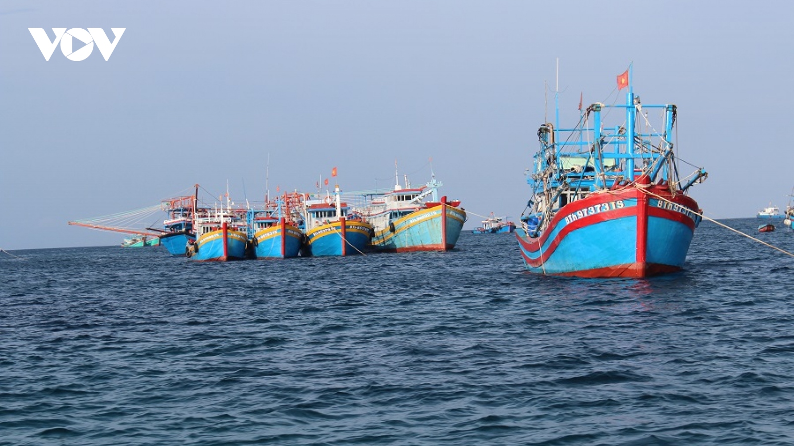Tàu cá Bình Thuận bị đâm chìm, 1 ngư dân mất tích