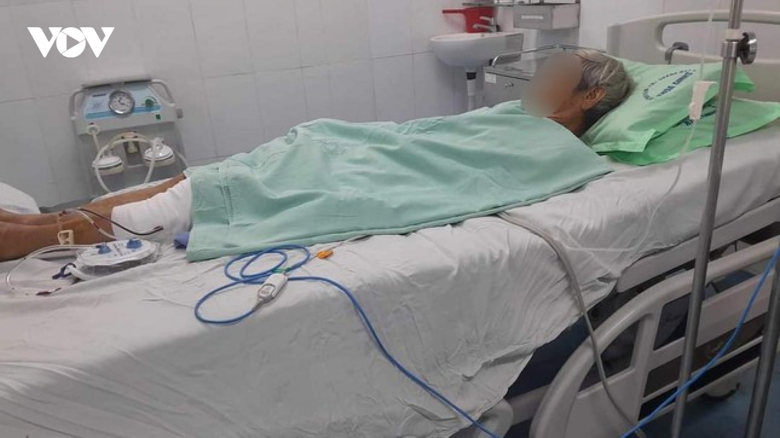Khỉ tấn công nhiều người, cắn chết 4 con chó ở Quảng Nam