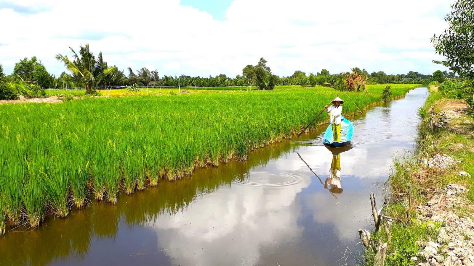 Bội thu nhờ nuôi tôm trách nhiệm