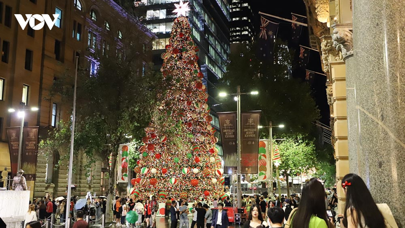 Chiêm ngưỡng cảnh cây thông Noel lớn nhất Sydney (Australia) được thắp sáng