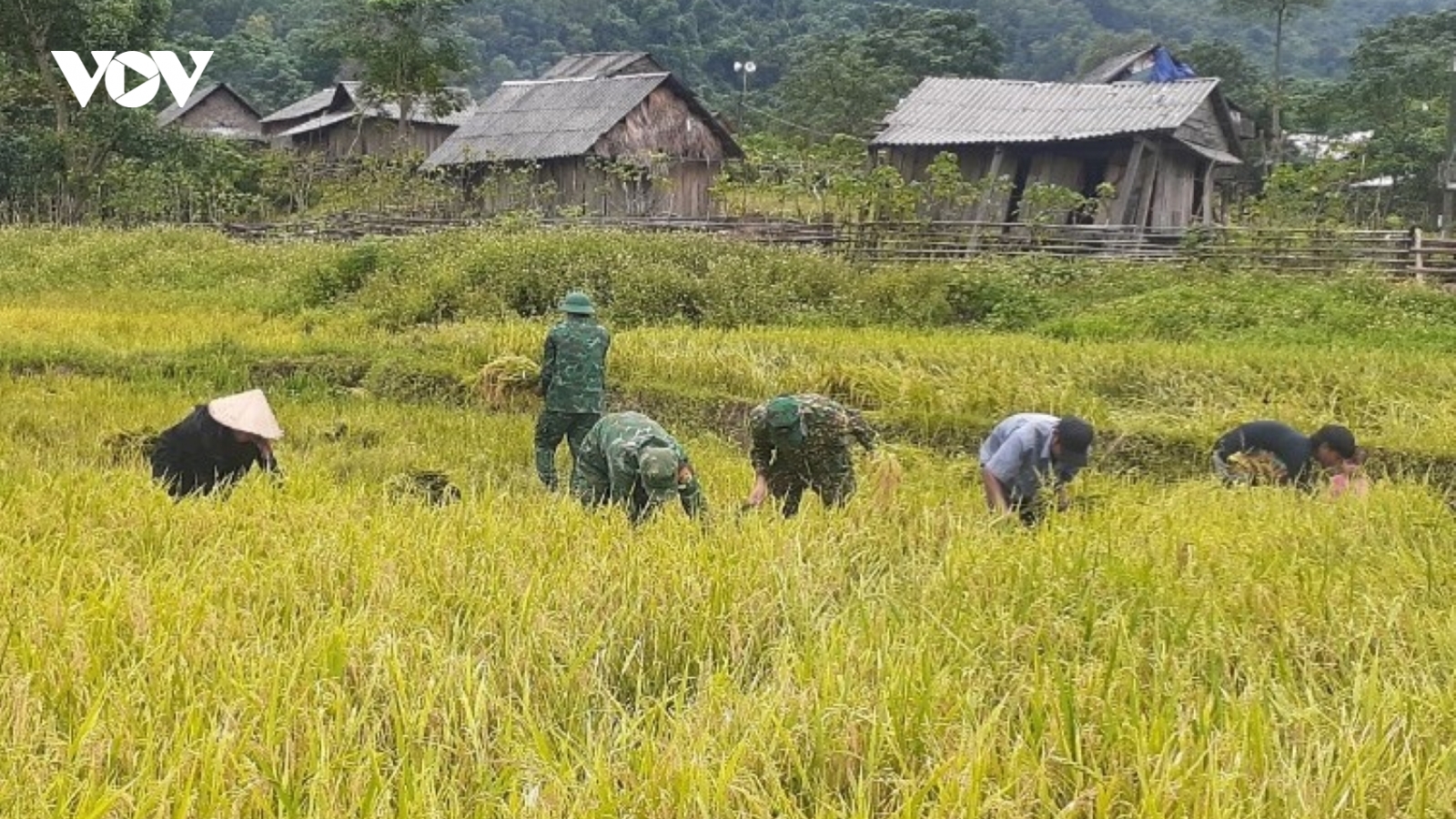 Trao “cần câu” sinh kế giúp đồng bào thoát nghèo