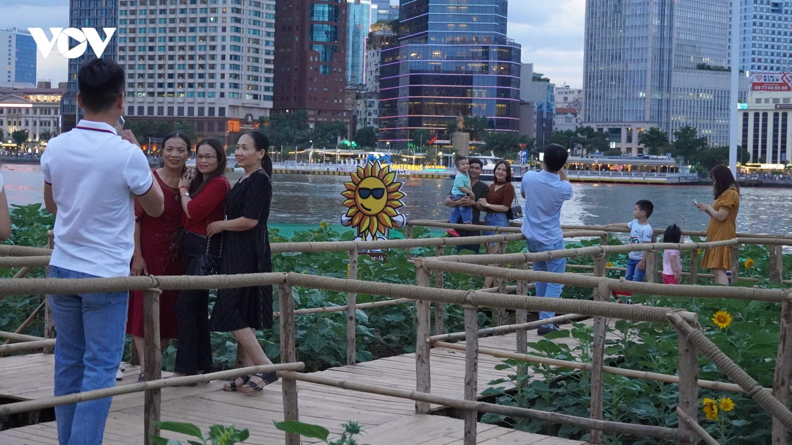 Vườn hoa hướng dương lớn nhất TP.HCM chính thức mở cửa đón khách