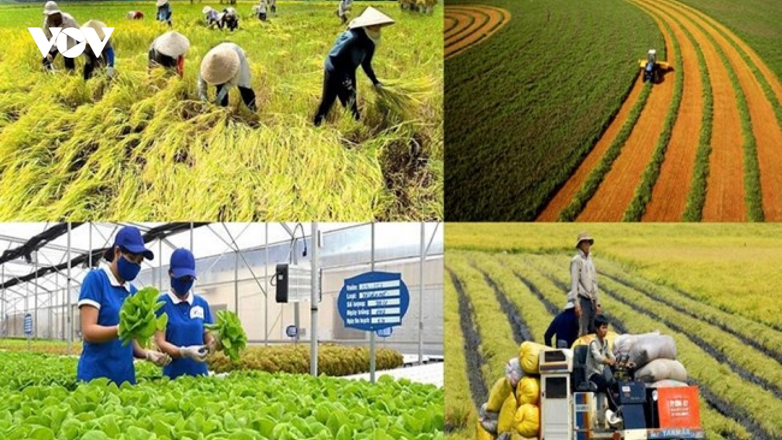 Tạo động lực mới cho phát triển công nghiệp nông thôn