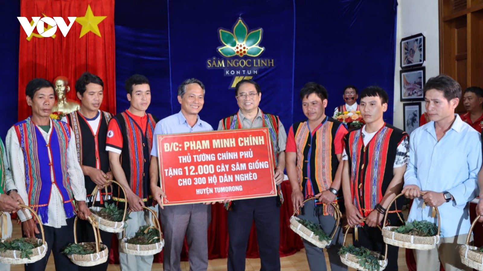 Trồng 12.000 cây sâm Ngọc Linh Thủ tướng tặng hộ nghèo huyện Tu Mơ Rông