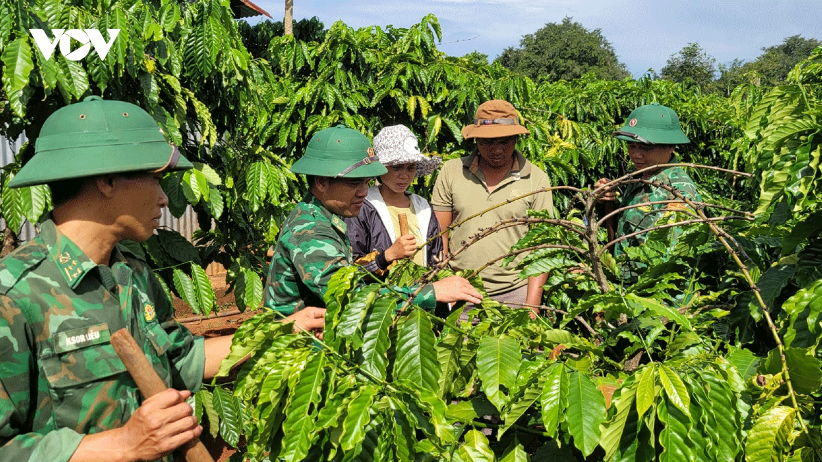 Bộ đội Biên phòng Gia Lai giúp người dân biên giới vươn lên thoát nghèo
