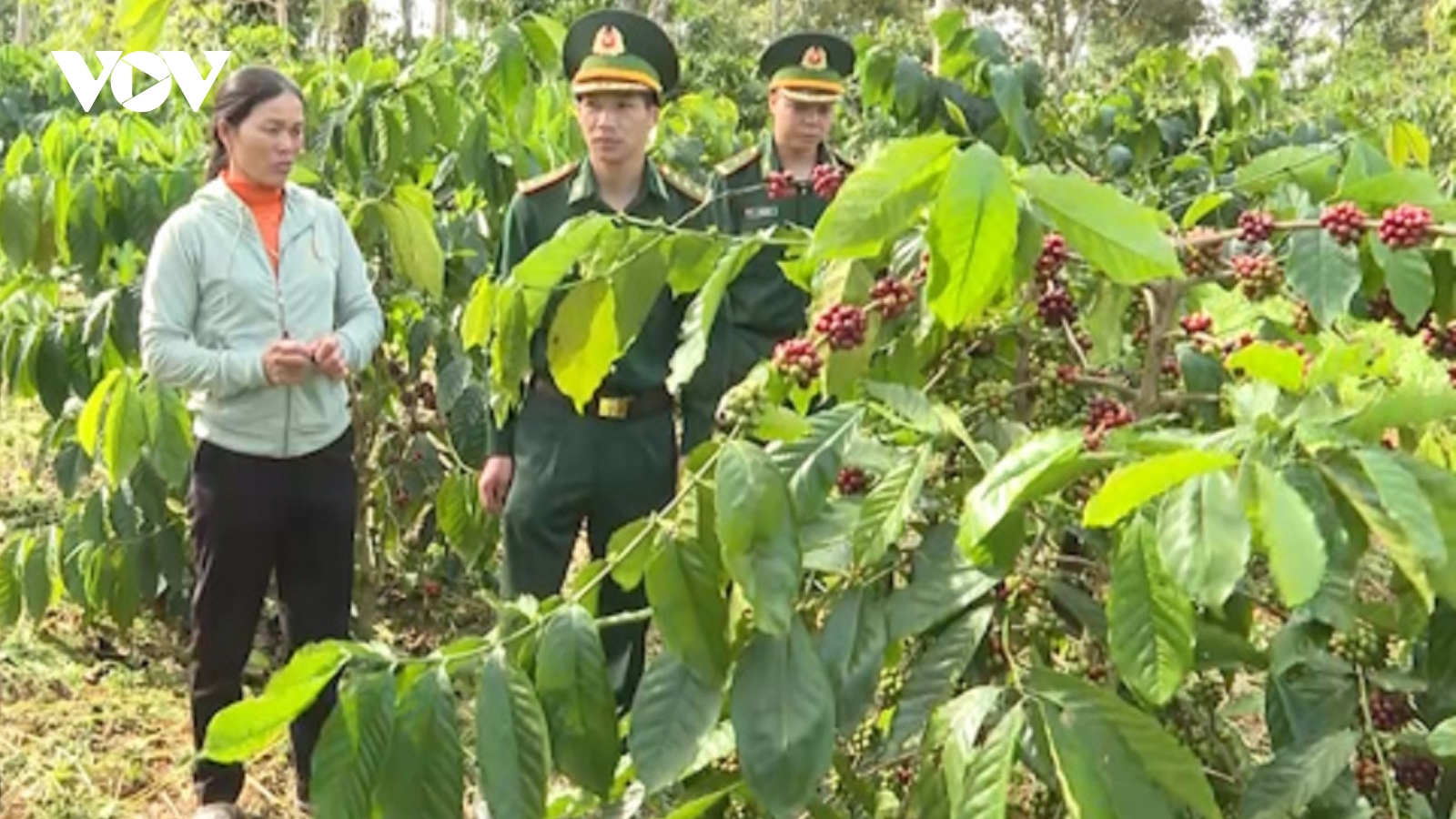 Vững chắc thế trận quốc phòng toàn dân nơi biên giới Thuận Hạnh