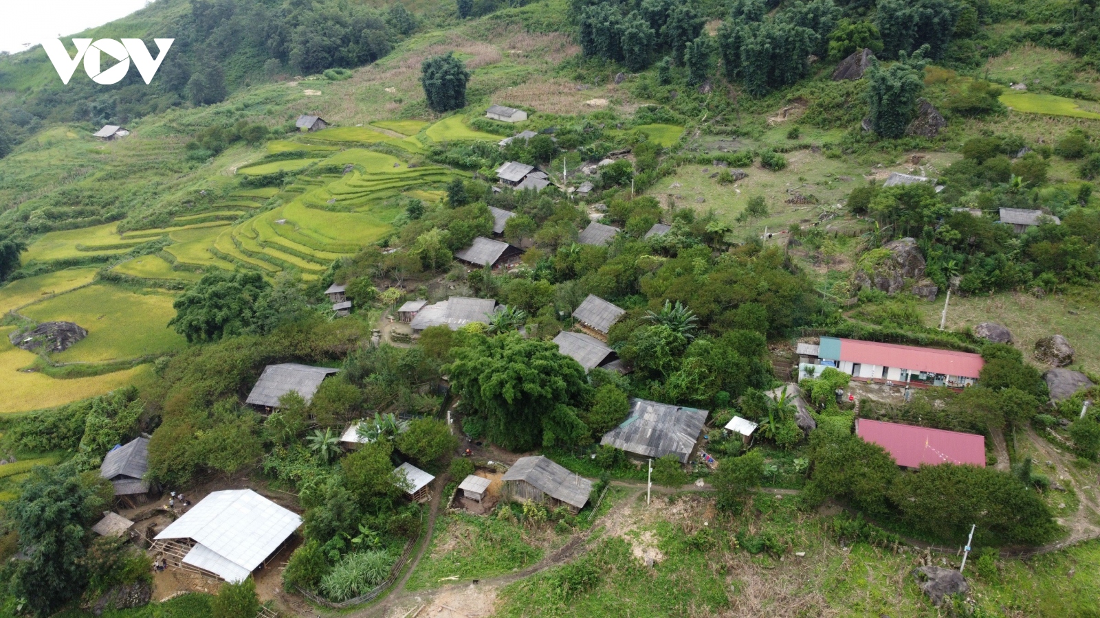 Bản người Mông ẩn sâu sau cánh rừng già có điện lưới đón năm mới