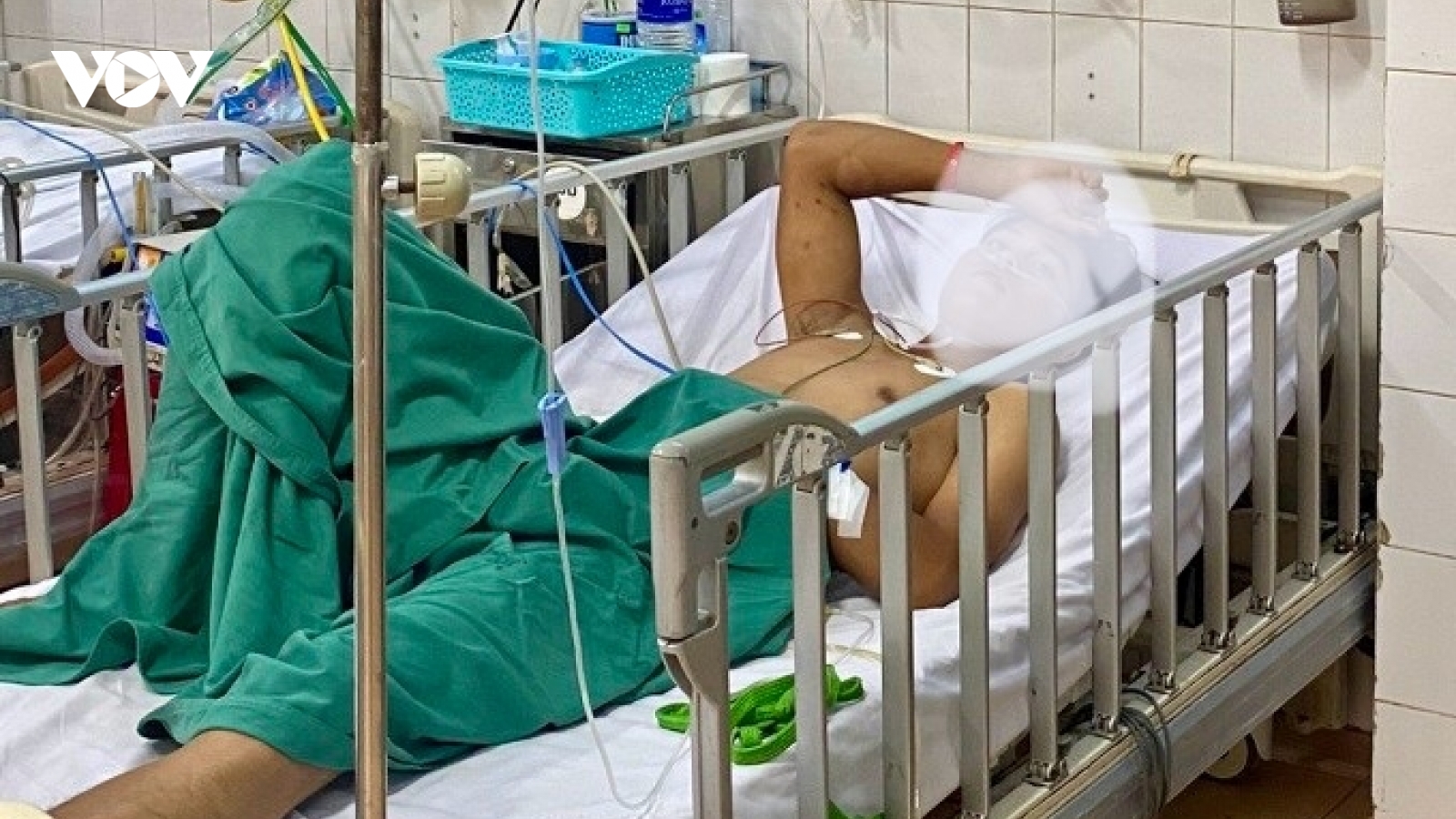 Ăn trứng cóc 1 người tử vong, 1 người nguy kịch