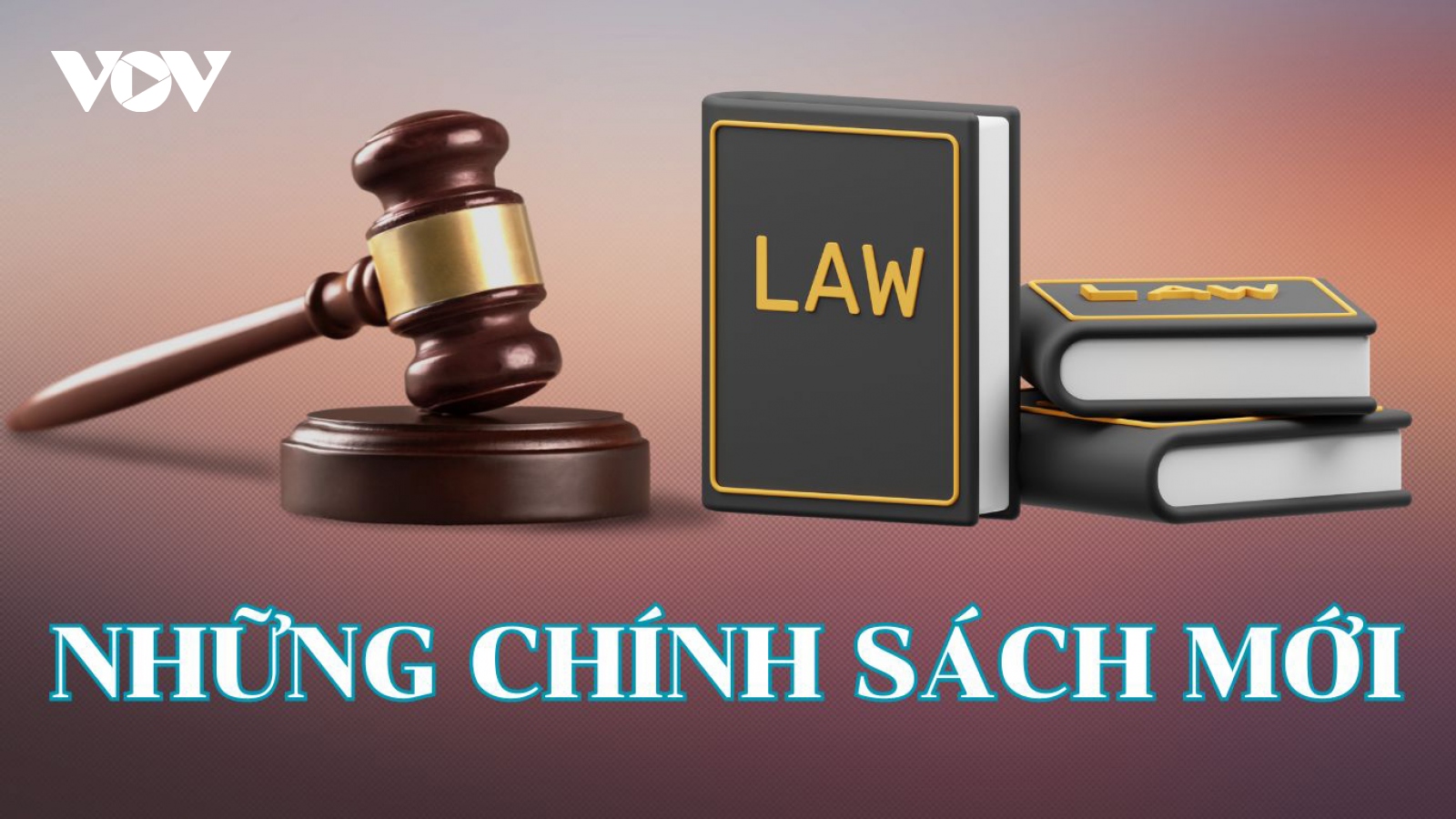 Những chính sách nổi bật có hiệu lực từ tháng 1/2024