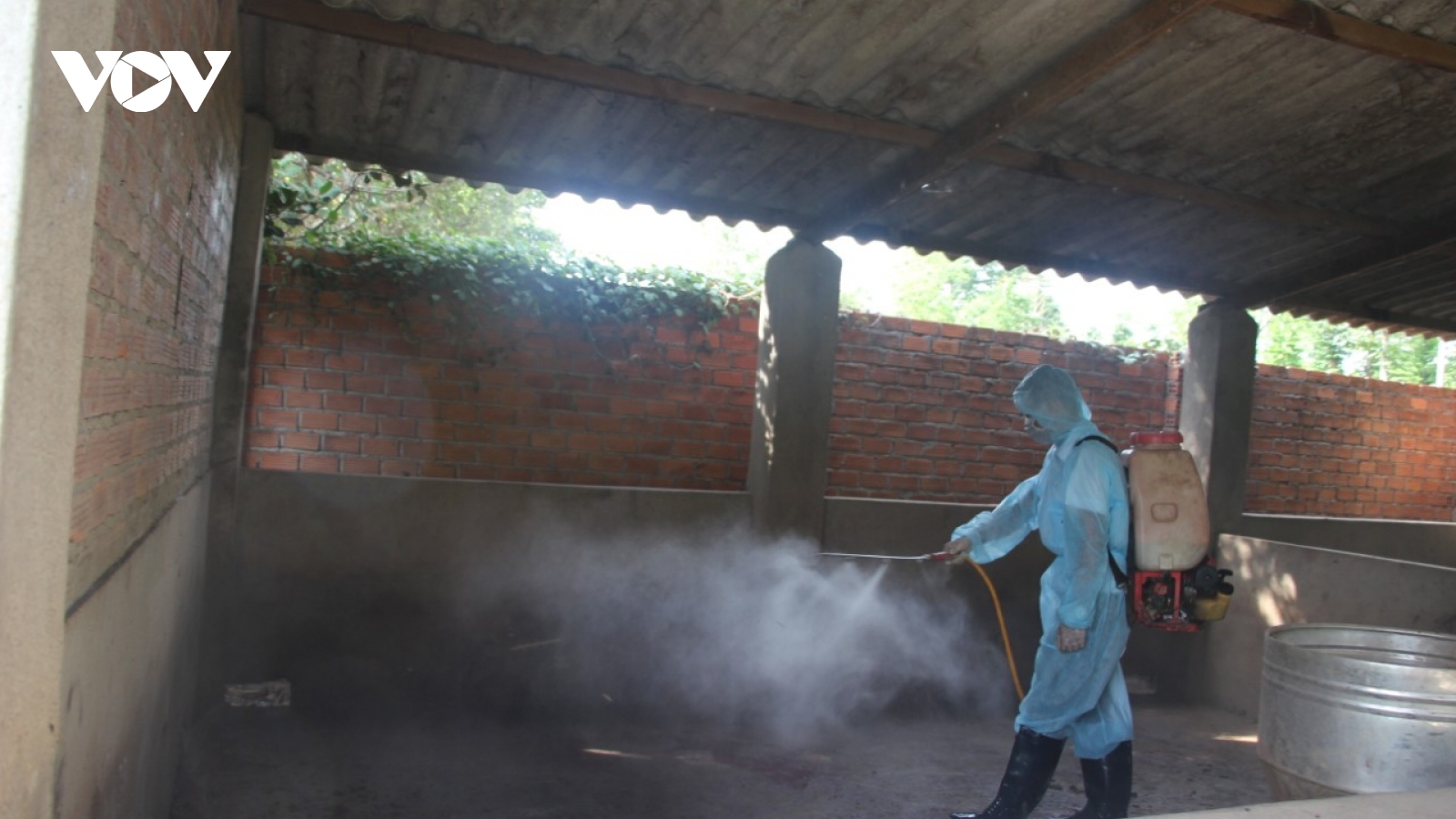 Đắk Lắk quyết liệt phòng, chống bệnh dịch tả lợn châu Phi