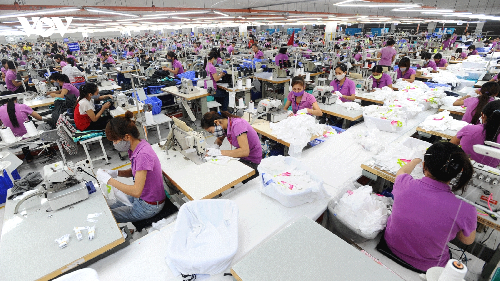 Cần cơ chế đặc thù hỗ trợ hơn 200.000 người lao động bị nợ BHXH