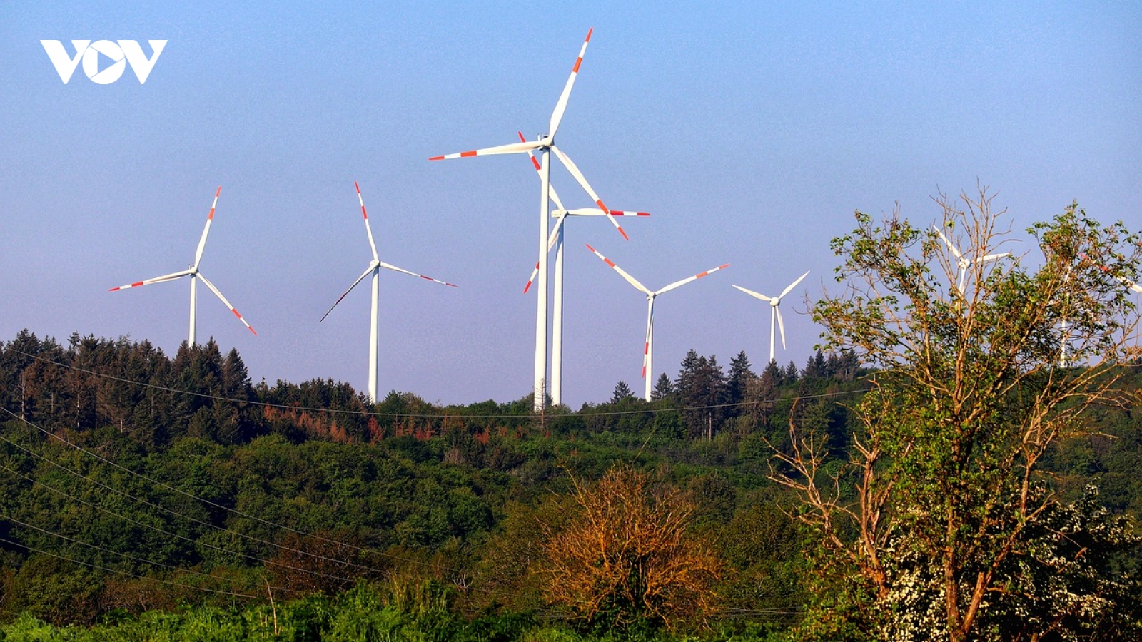 Hungary là quốc duy nhất từ chối tham gia"Hiến chương gió Châu Âu"
