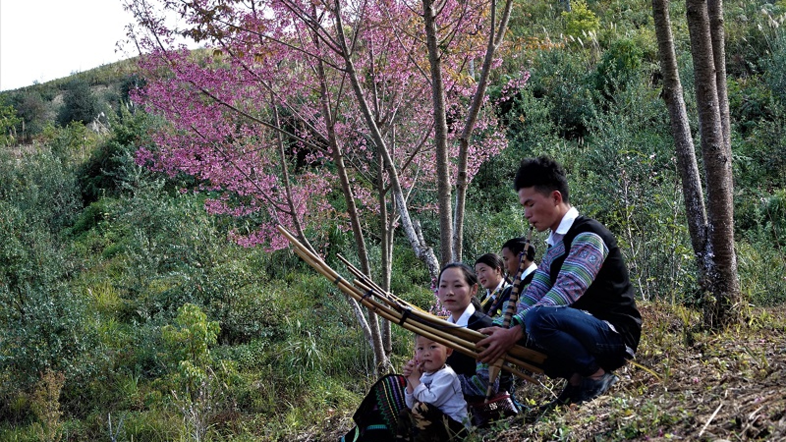Sắp diễn ra Festival trình diễn khèn Mông, Lễ hội hoa Tớ Dày ở Yên Bái