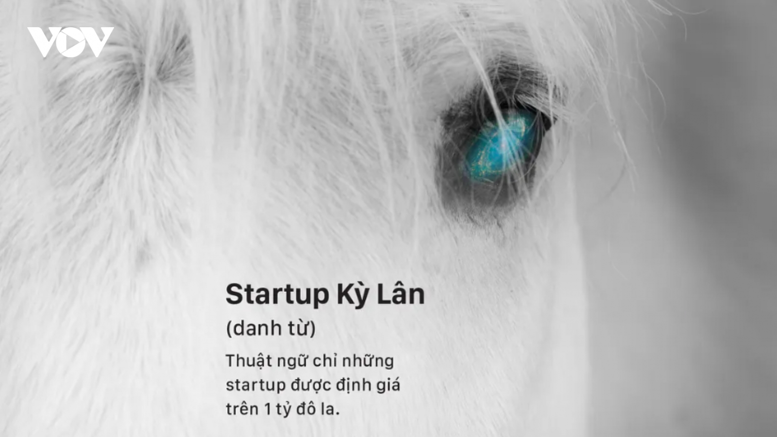 Những bài học quý từ các startup kỳ lân