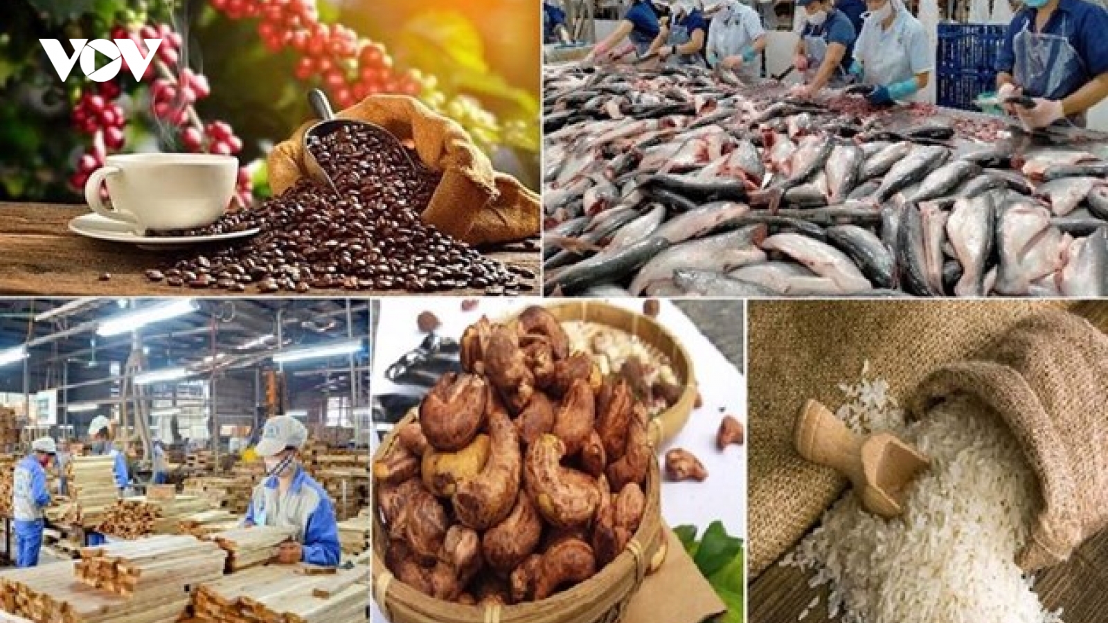 Tiềm năng và thách thức khi xuất khẩu nông sản vào thị trường Trung Quốc