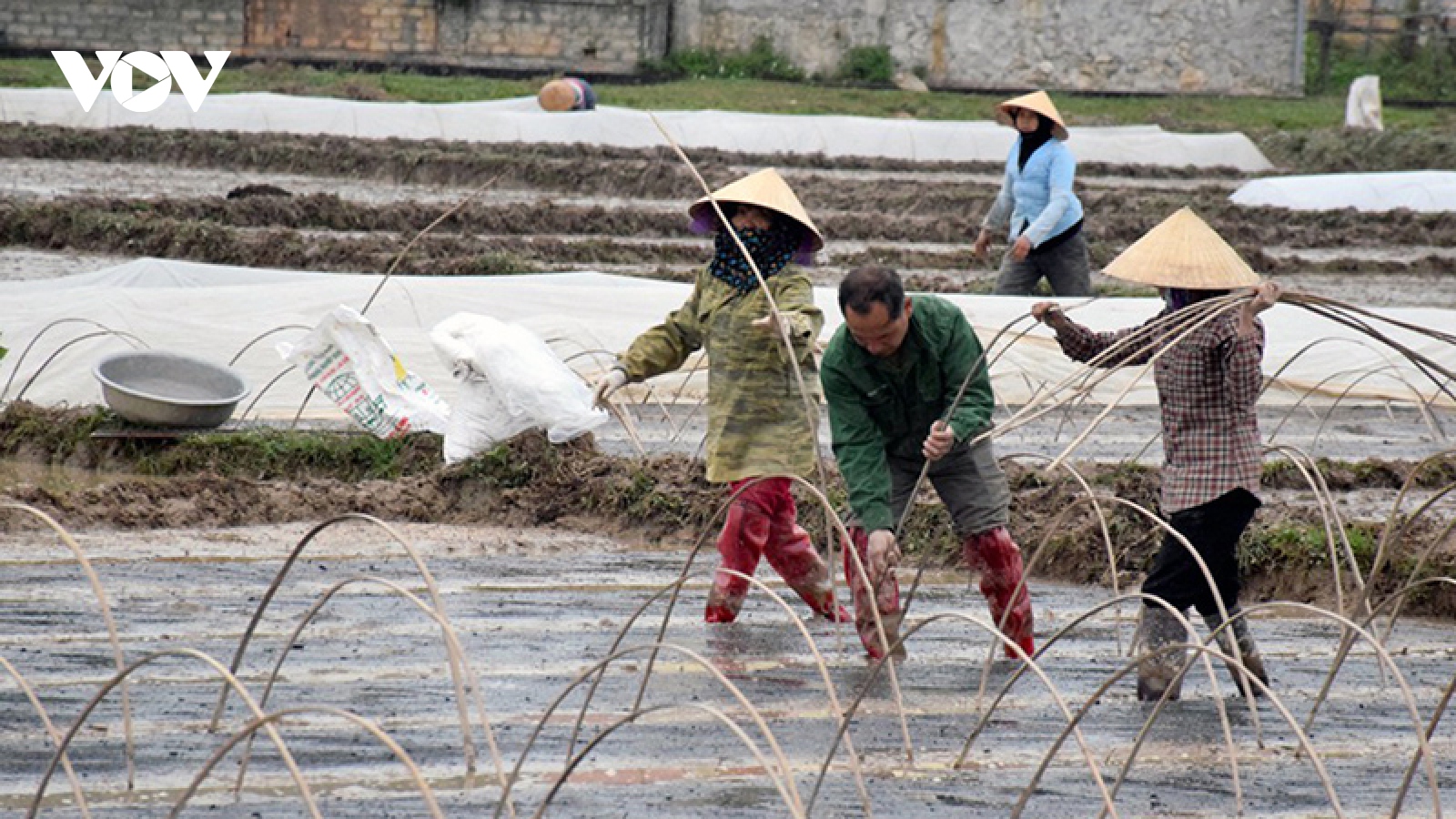 Bắc Bộ rét đậm diện rộng, vùng núi rét hại có nơi 3 độ C