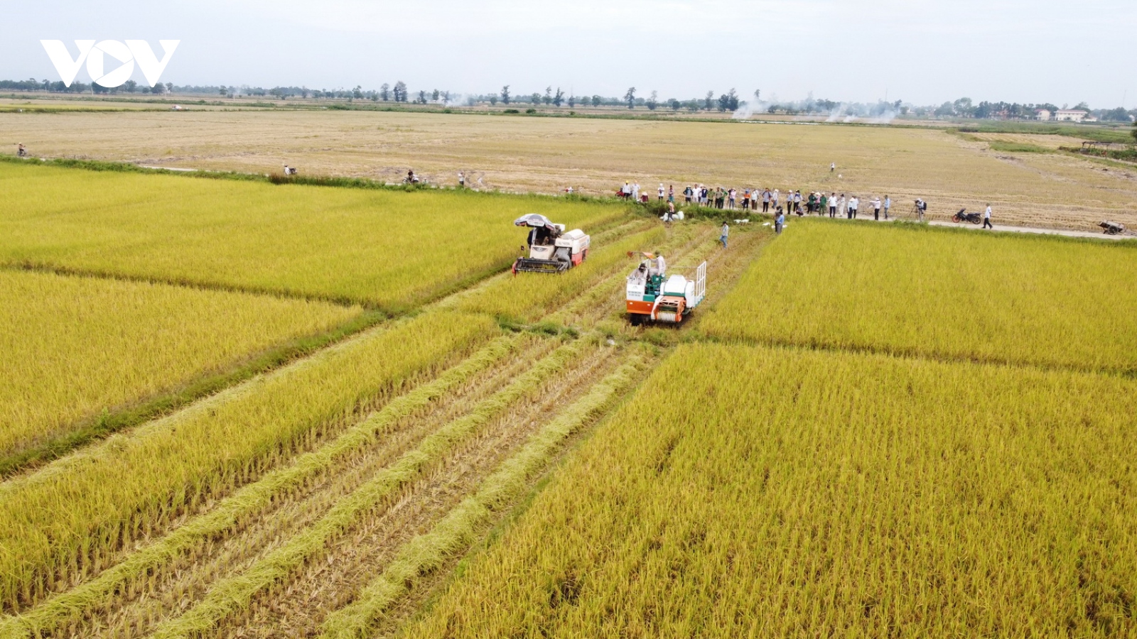 Quảng Trị xây dựng vùng chuyên canh nông sản hữu cơ xuất khẩu