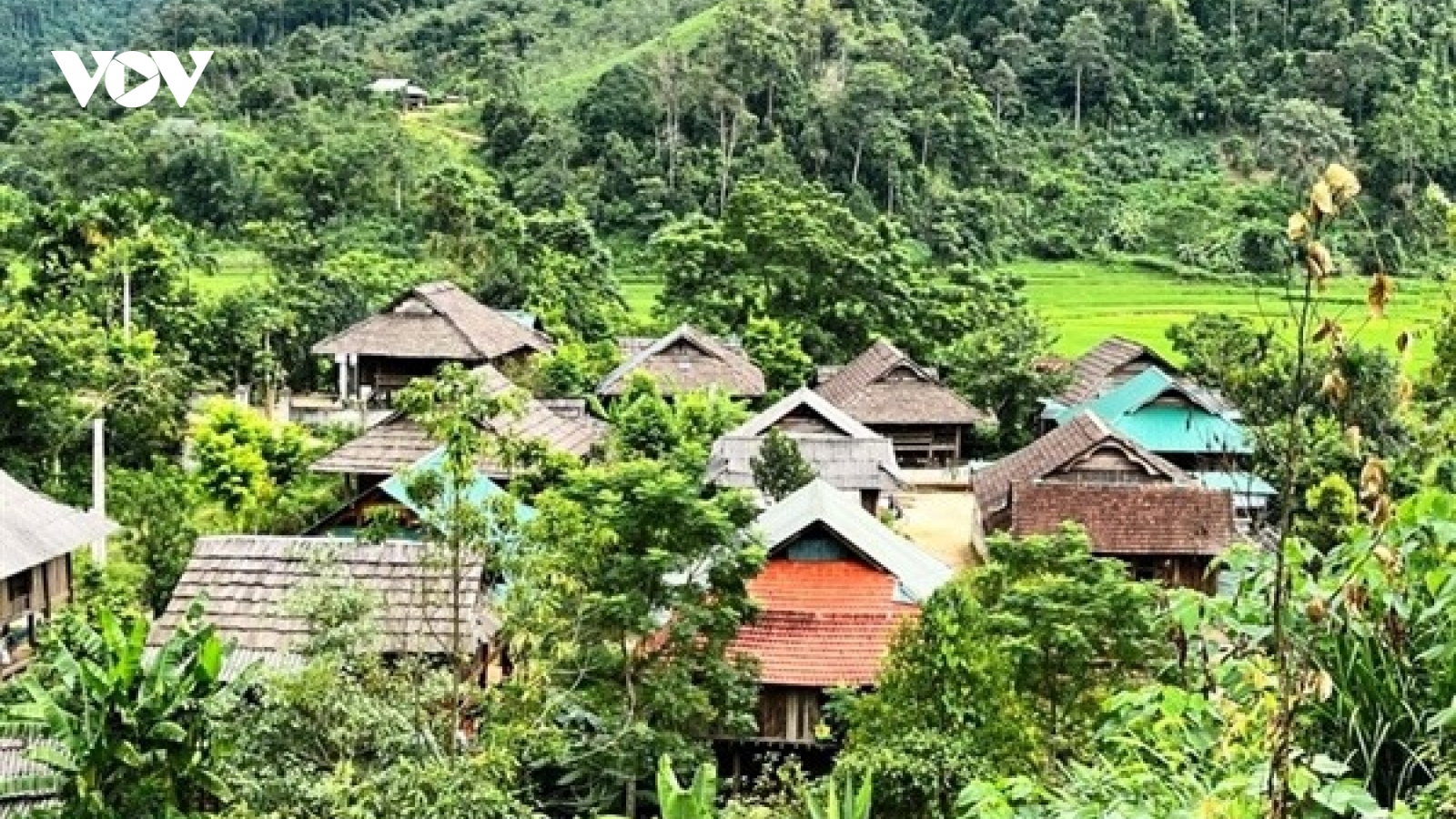 Ngăn chặn nạn "chảy máu" bằng cách kiểm kê, xếp hạng nhà sàn cổ