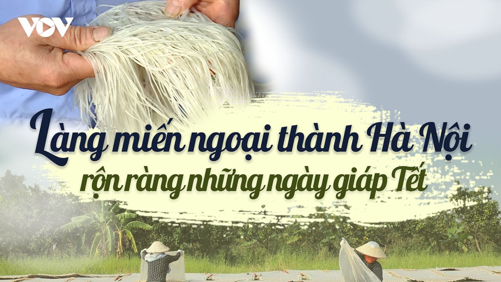 Làng miến ngoại thành Hà Nội rộn ràng những ngày giáp Tết