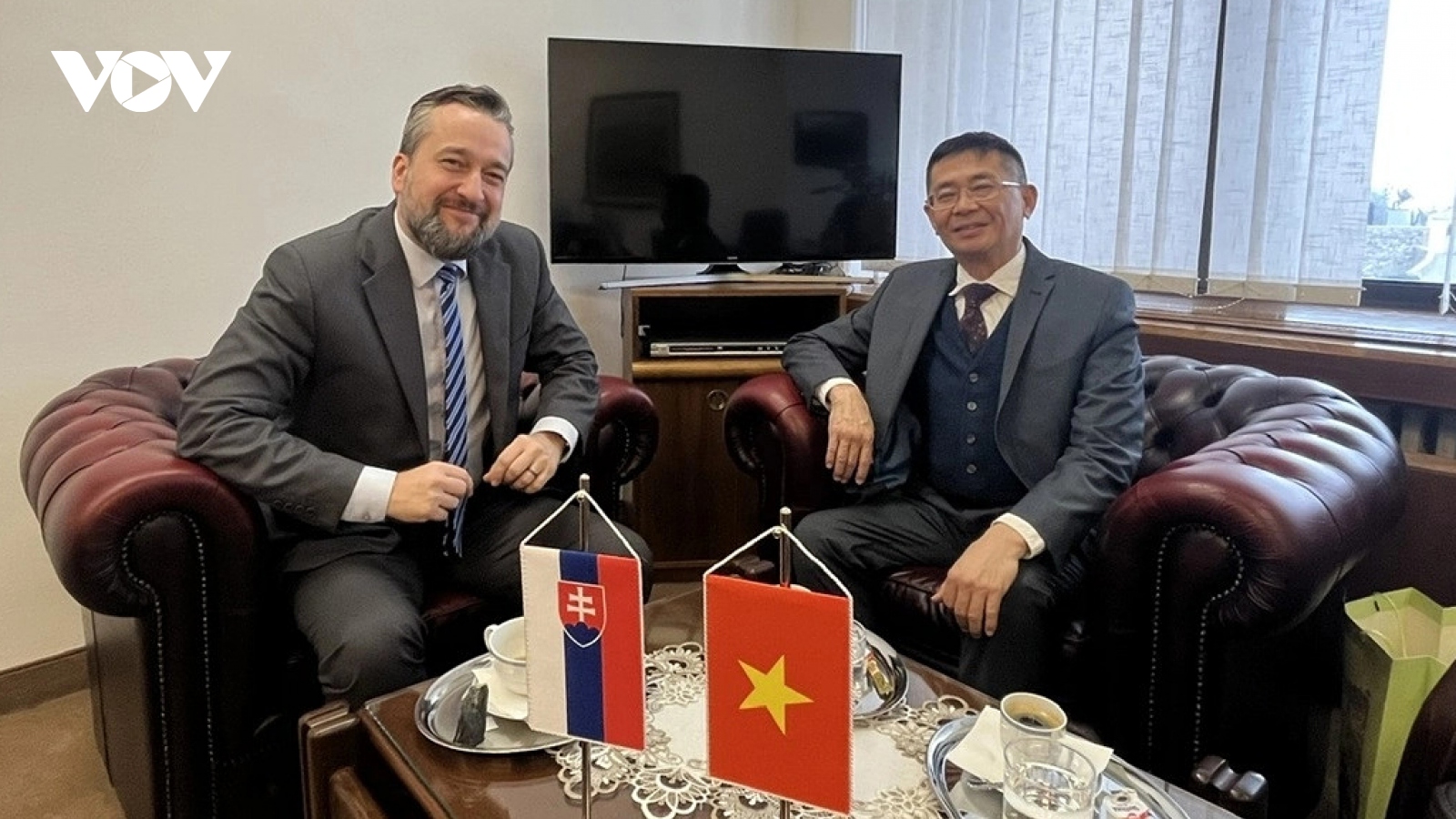 Vietnam is Slovakia’s important partner, says Slovak official