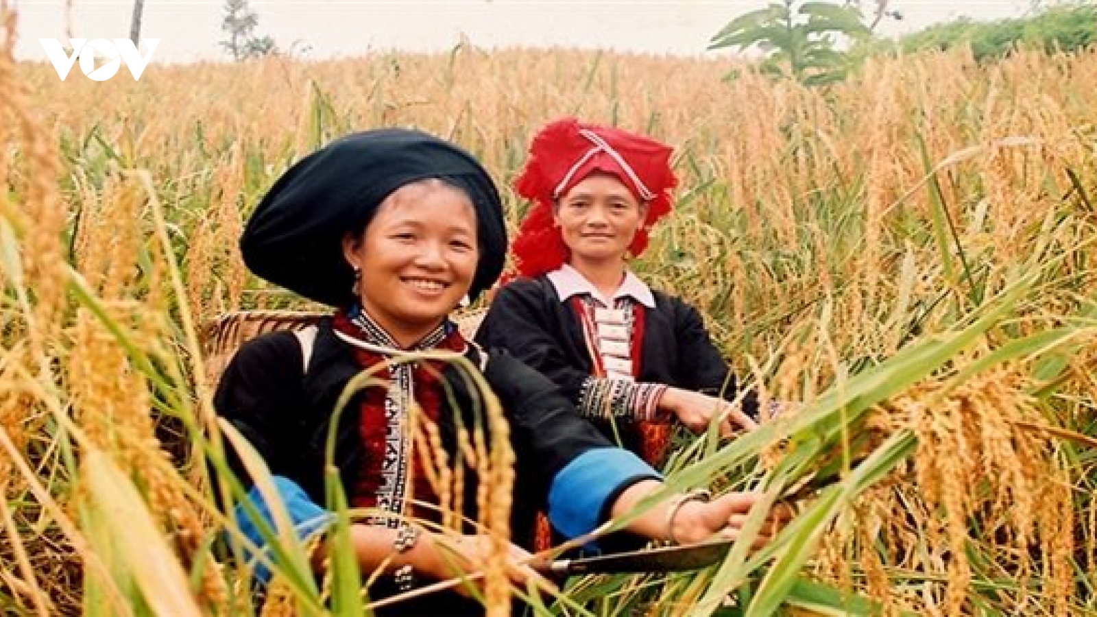 Việt Nam - quốc gia duy nhất ở châu Á thực hiện giảm nghèo đa chiều