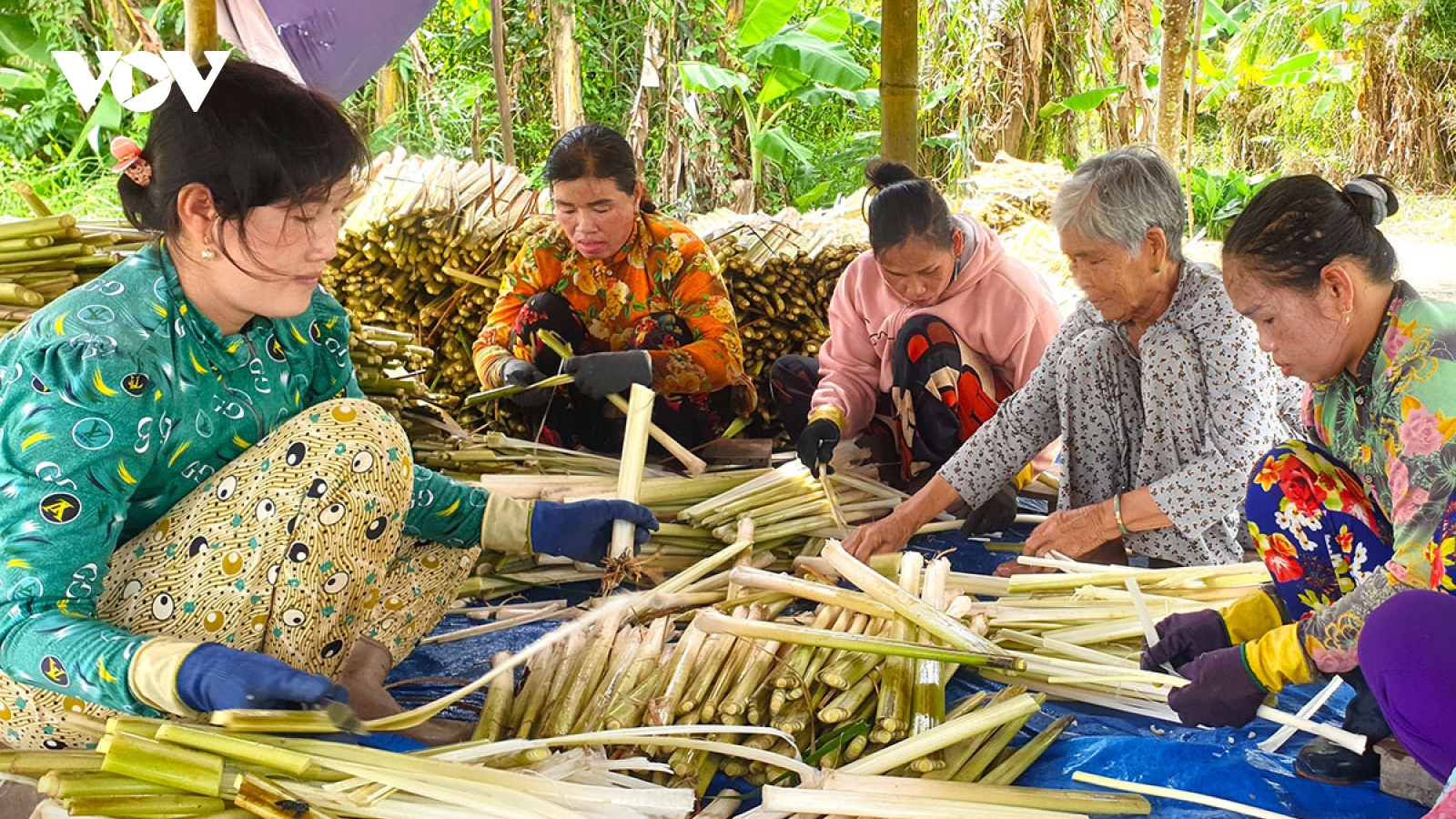 Cà Mau rà soát tình hình phụ nữ mất việc về địa phương để hỗ trợ phù hợp