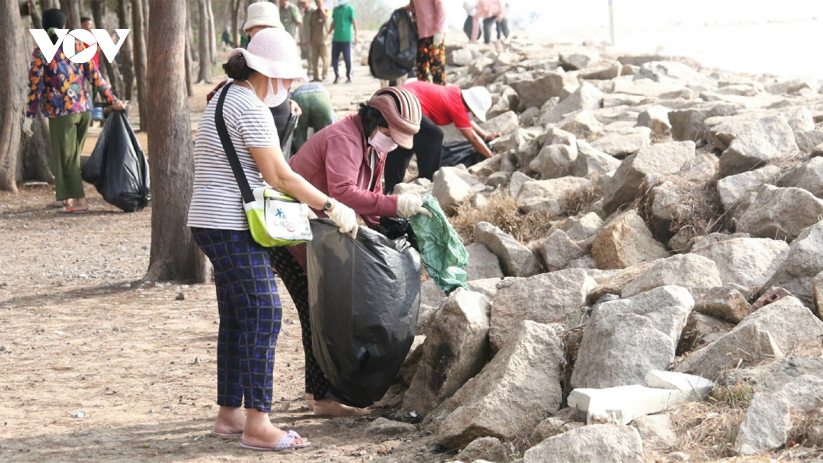 TP.HCM đẩy mạnh phát triển thị trường tín chỉ cacbon