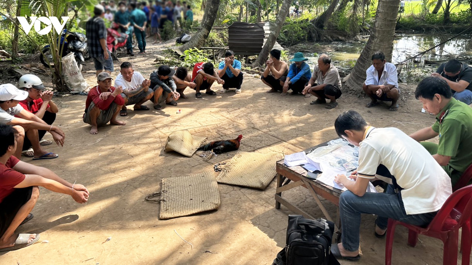 An Giang triệt phá tụ điểm đá gà ăn tiền, bắt giữ 13 đối tượng
