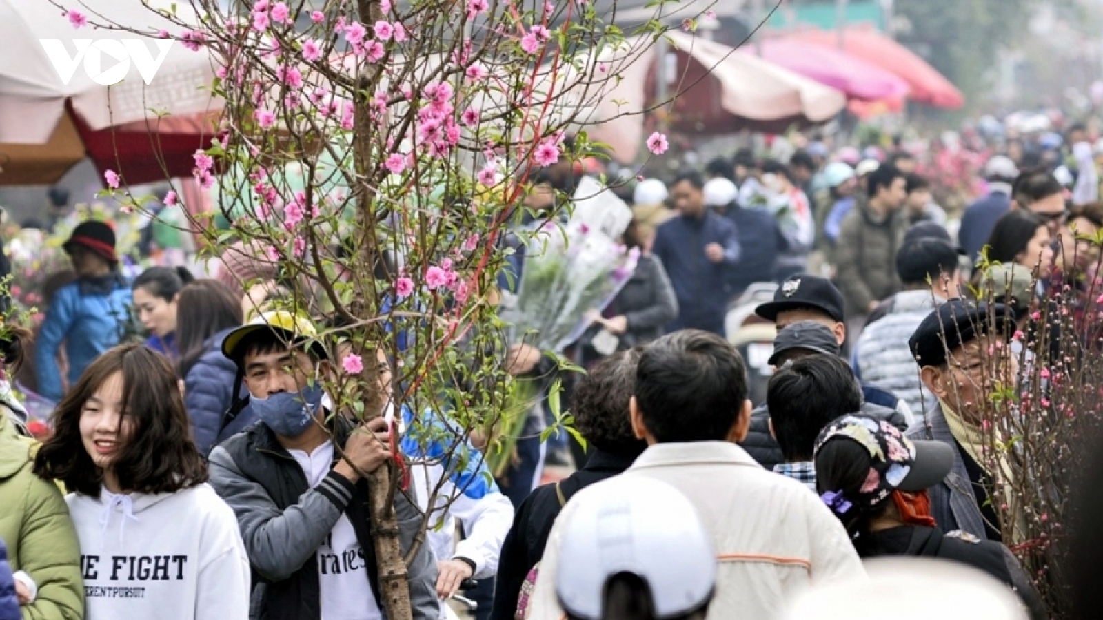 Severe cold spell dissipates, warm weather expected in Northern Vietnam