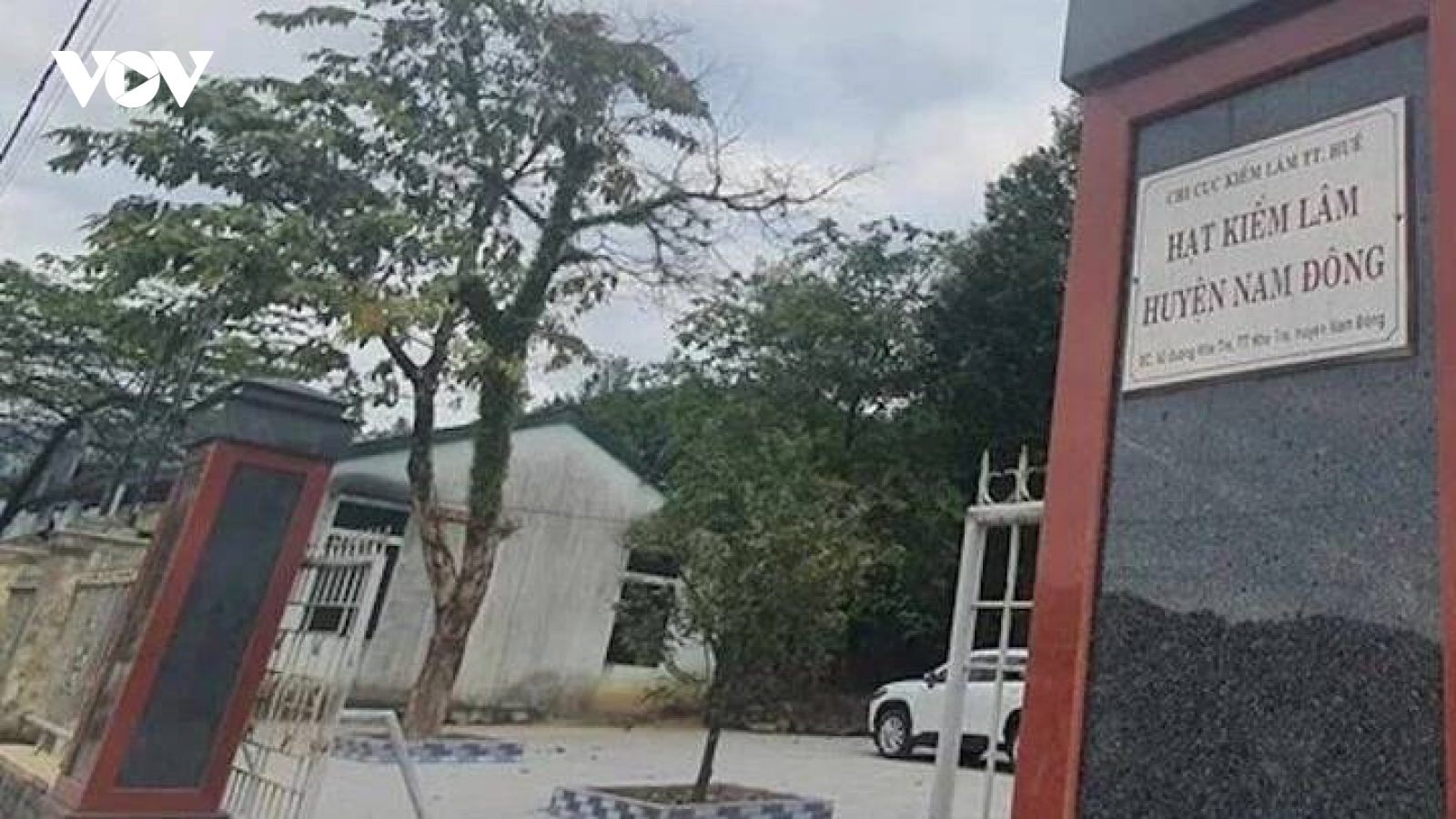 Bắt cán bộ kiểm lâm ở Huế liên quan vụ vận chuyển lâm sản trái phép