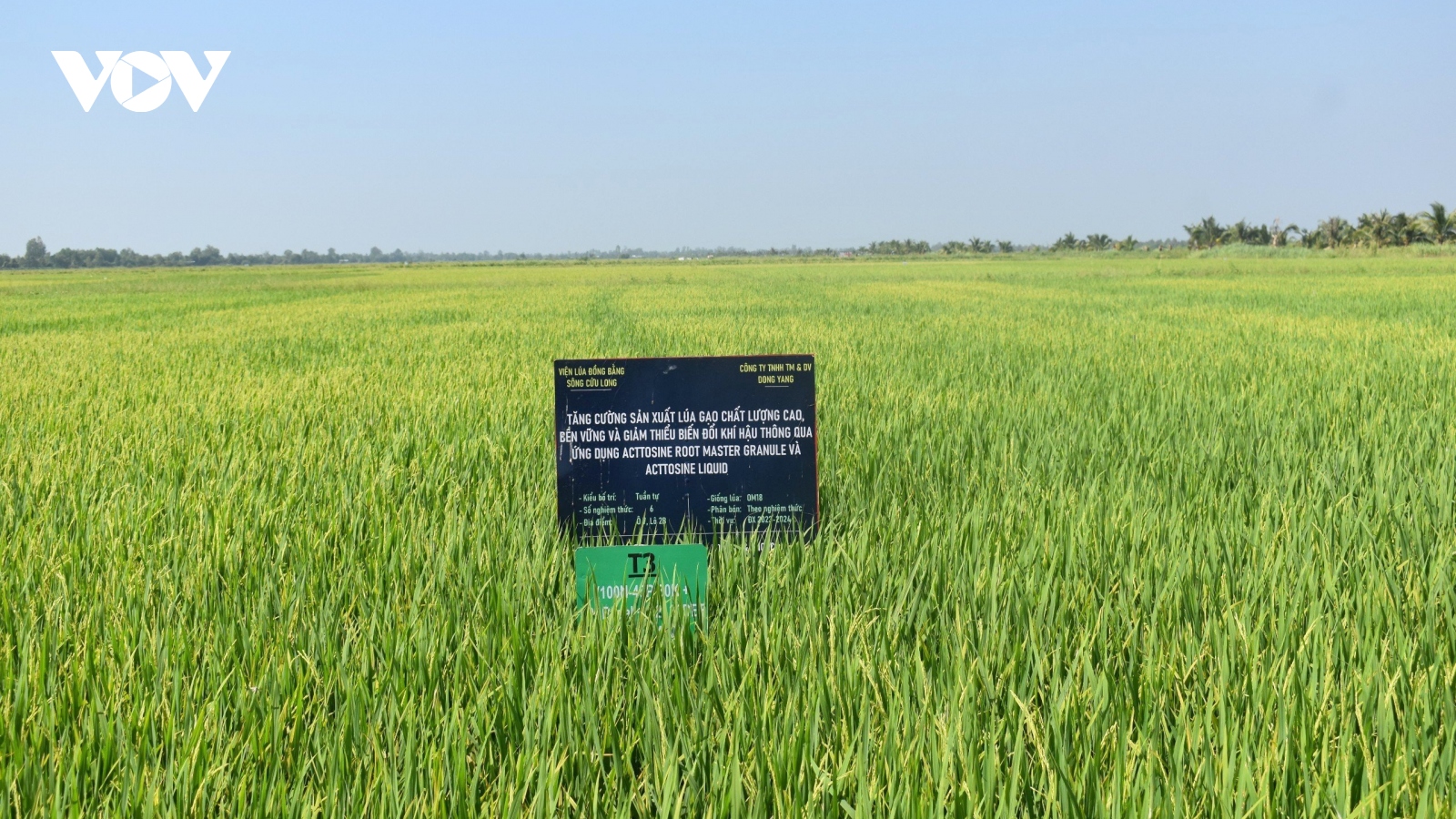 Công nghệ góp phần cho sự thành công của Đề án 1 triệu ha lúa ở ĐBSCL