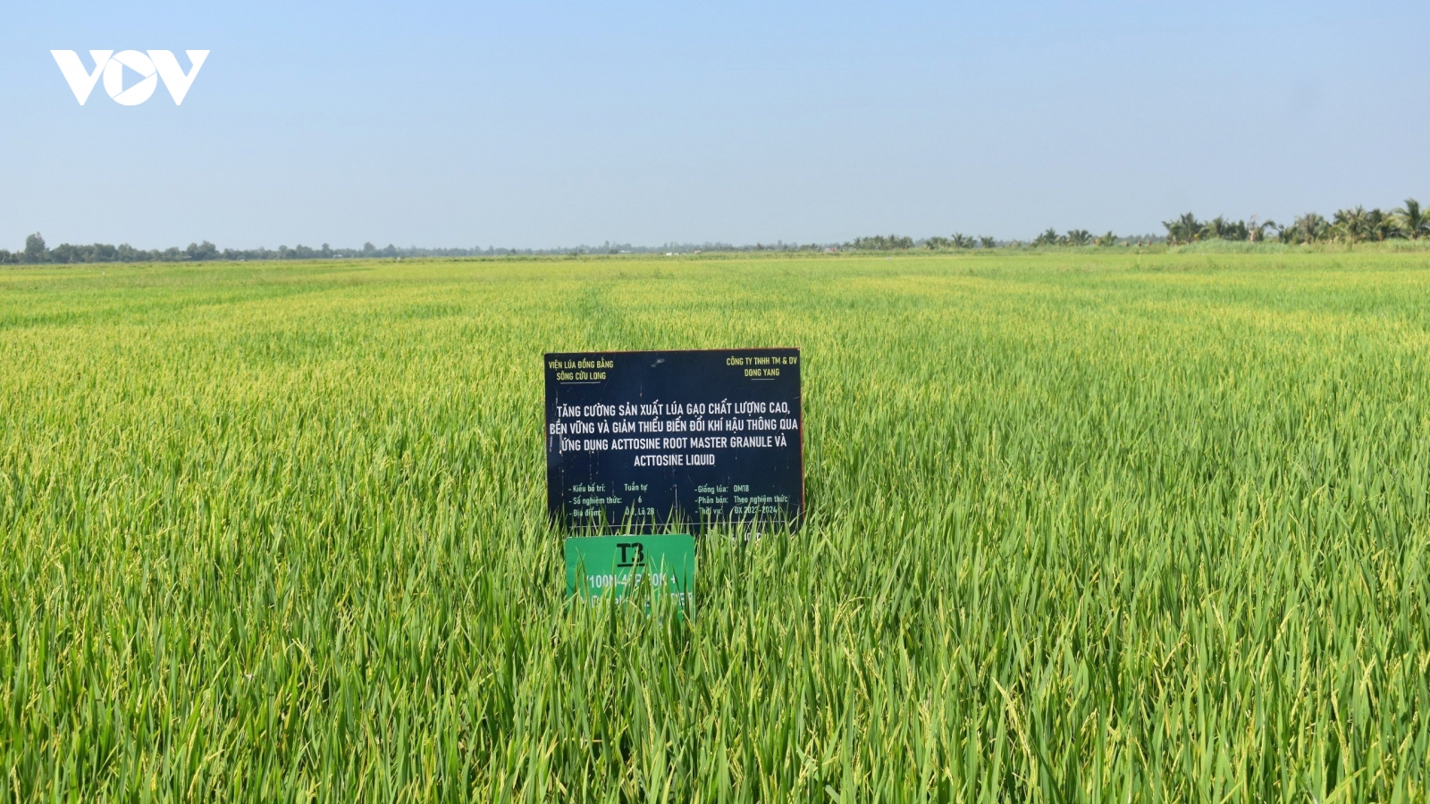 Công nghệ góp phần cho sự thành công của Đề án 1 triệu ha lúa ở ĐBSCL