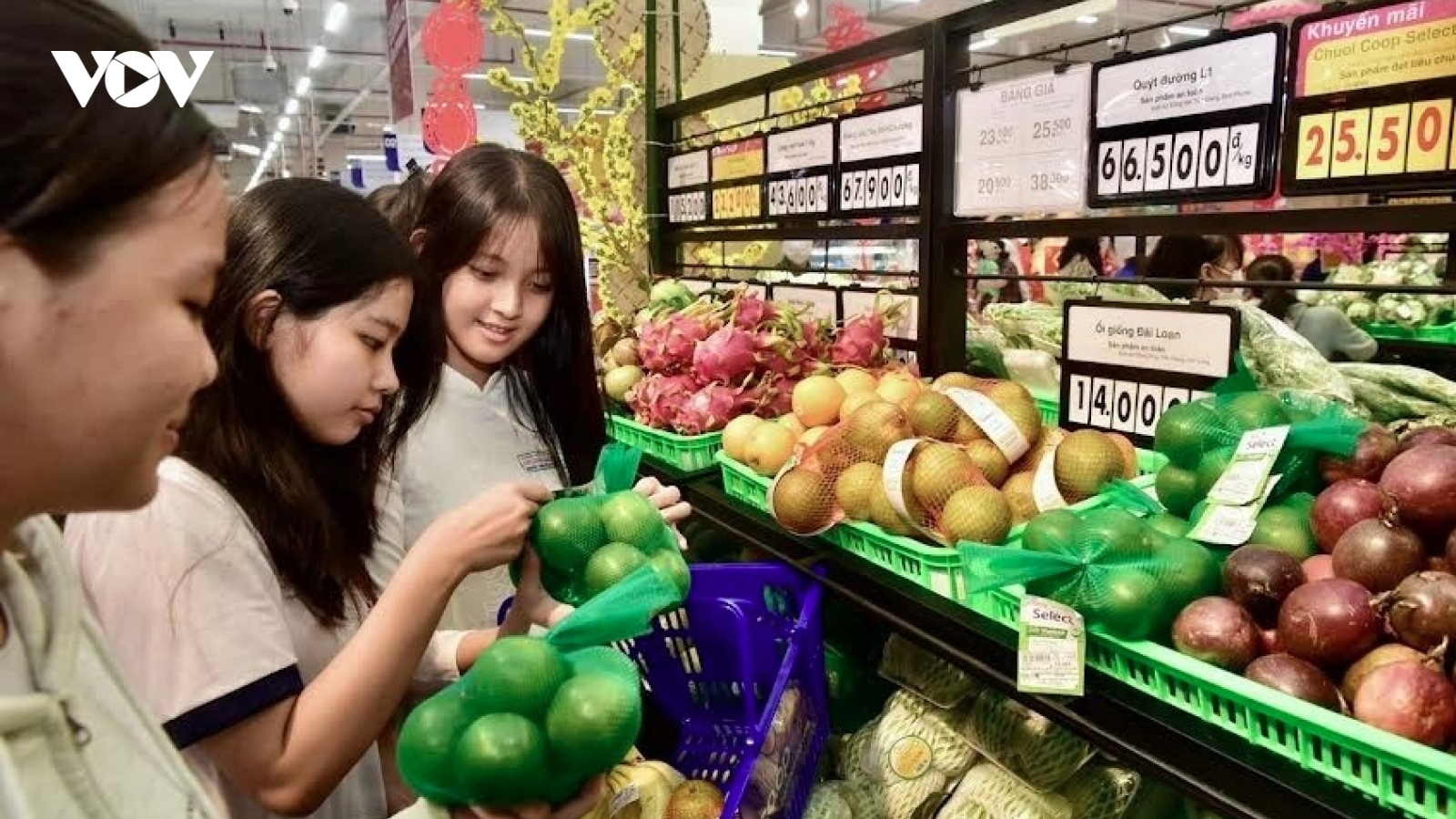 Domestic market promotion - important growth driver in 2024