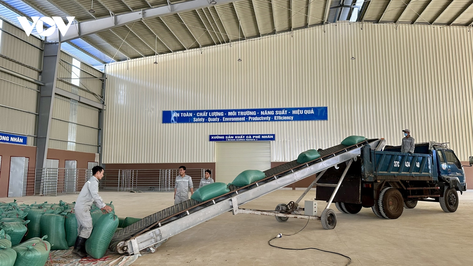 Cà phê Sơn La giữ giá cao ngay từ đầu vụ thu hoạch