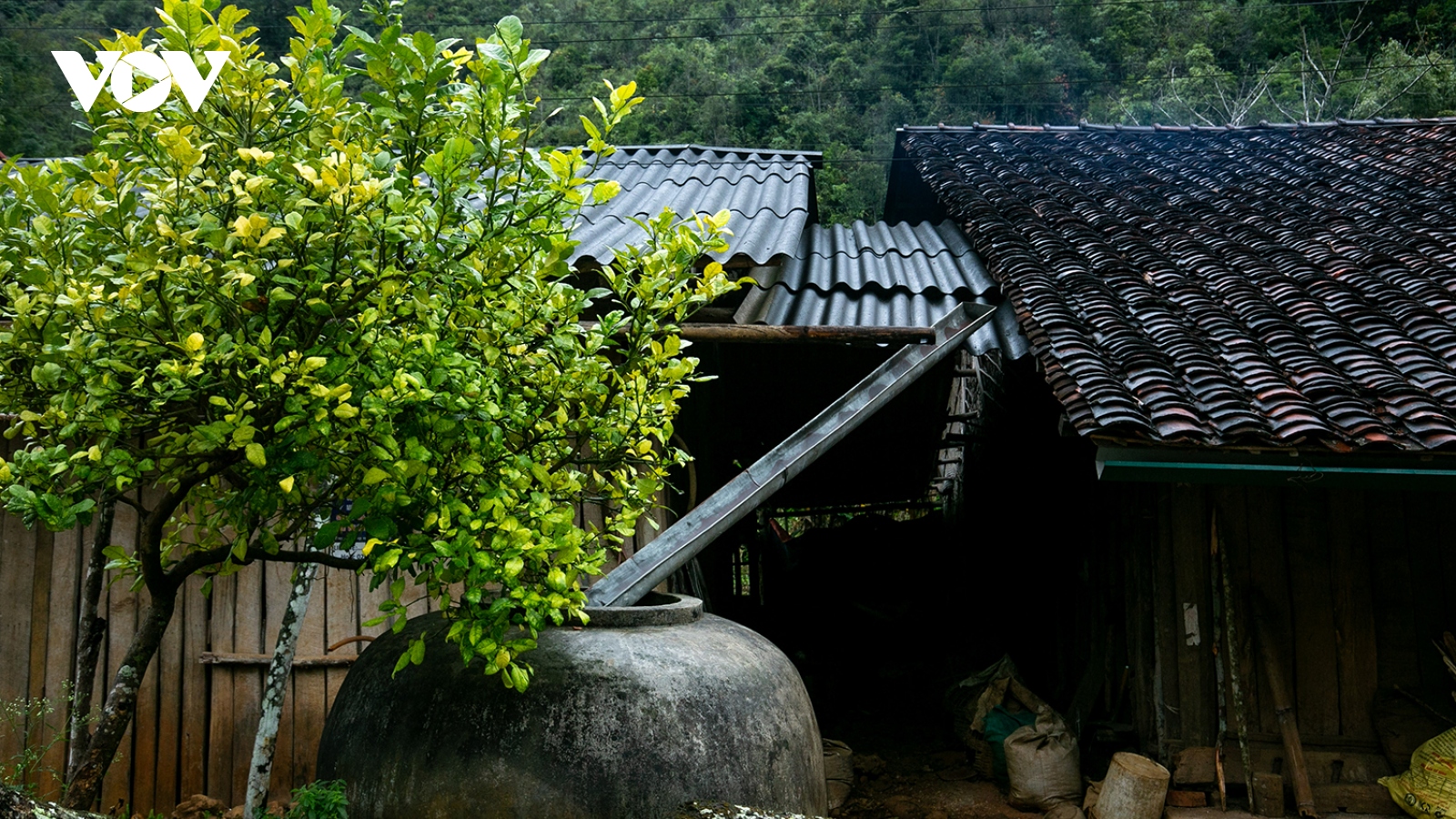 Những ngày mưa ở vùng đất “khát” Cao Bằng