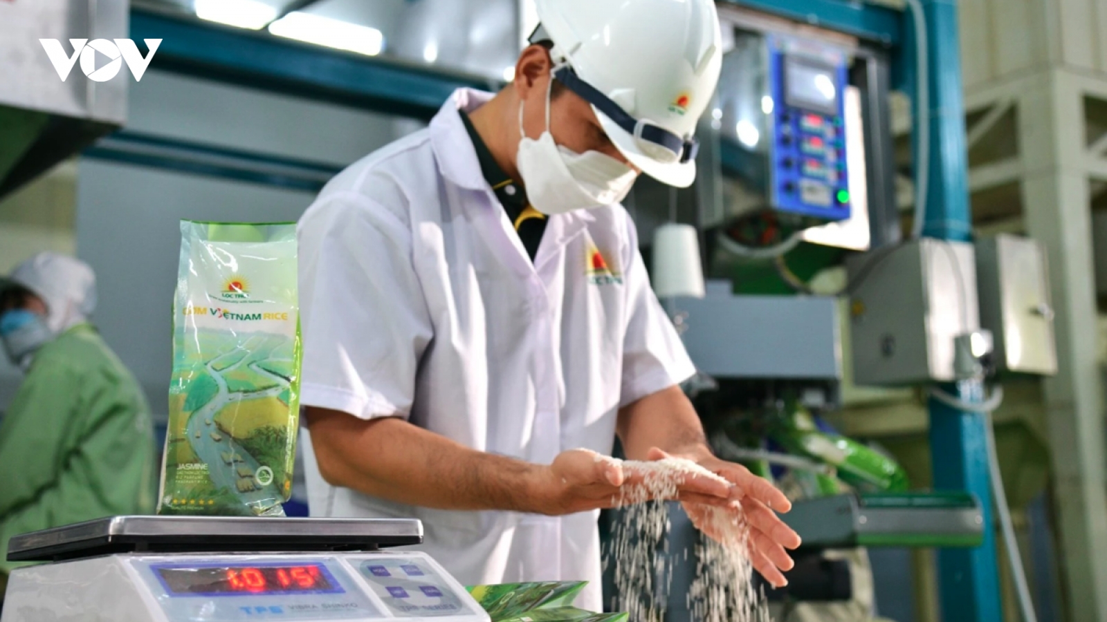 Giá gạo lập đỉnh, Lộc Trời thu kỷ lục hơn nửa tỷ USD
