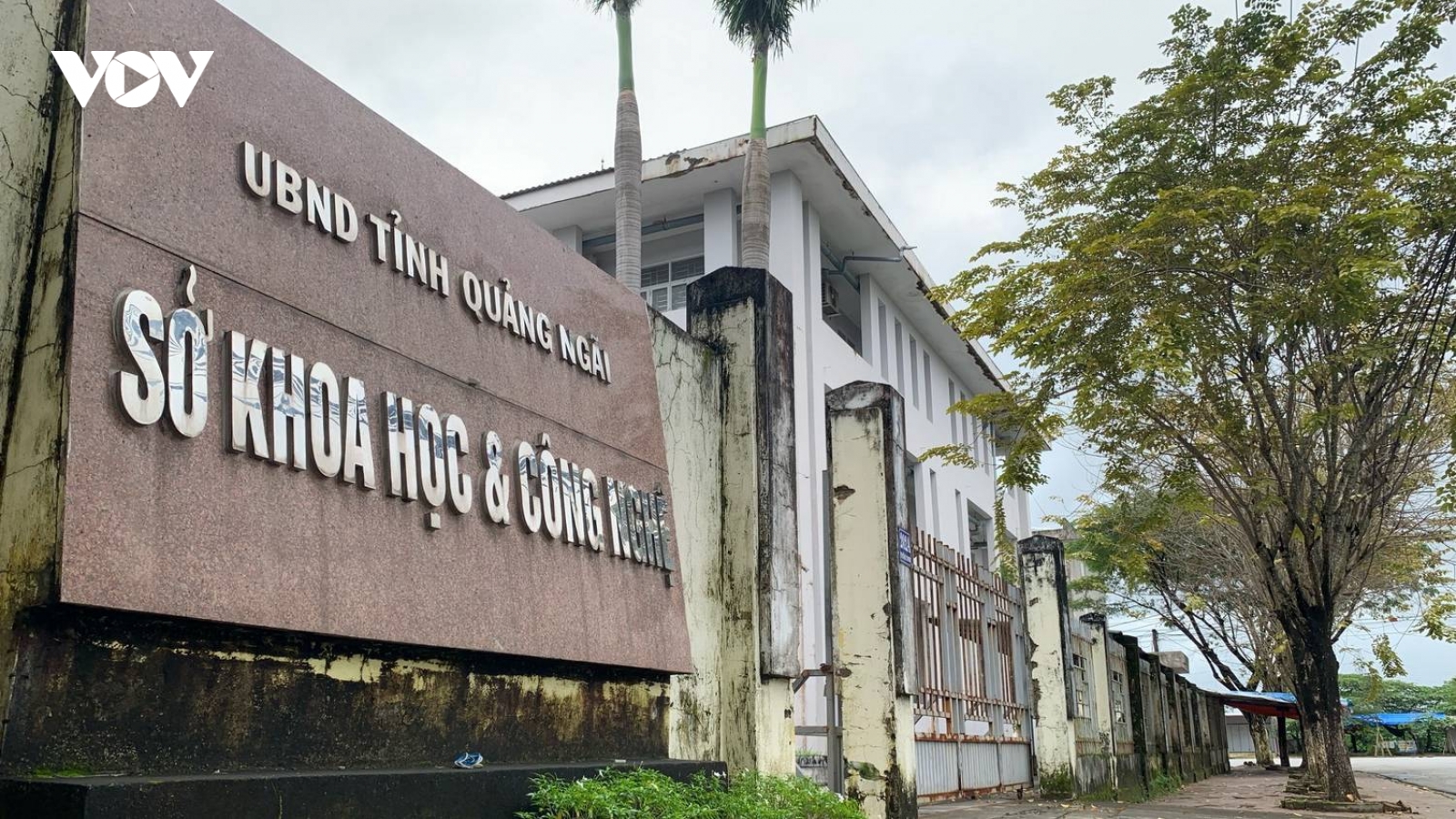 Phục hồi giải quyết nguồn tin tội phạm đối với một giám đốc sở ở Quảng Ngãi
